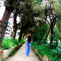 emiedith3