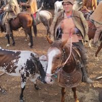 fernando.ferreira966