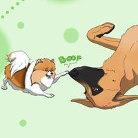 bigwoof.and.littlefloof