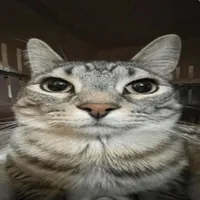 original sound - crestt_07