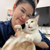 เสียงต้นฉบับ - ภาระที่ร้องงั่งๆ