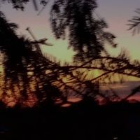 stranger_things2581