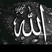 original sound - wll.cabdalla4