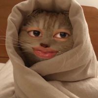 suara asli - RumRumi