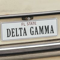 deltagammafsu