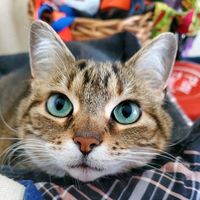 nancy_neverquit