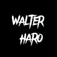 original sound - walter_haro