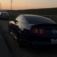 yote.5.0