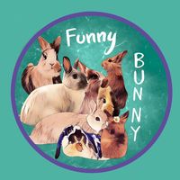 ...funny.bunny