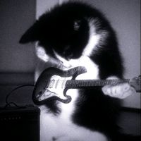 musicas.latinas.lyrcs