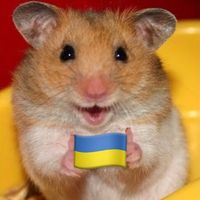 оригінальний звук