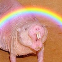 its not that hard to say something nice