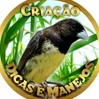 ctdospapacapim