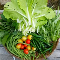 original sound - uki.garden