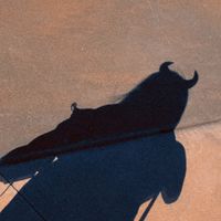 masked._men