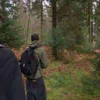 оригинальный звук