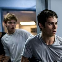 amandine.maze.runner