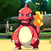 gencharmeleon