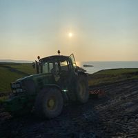 cathaldiggin