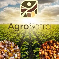 agrosafra.agro