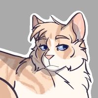 bird song florence and the machine