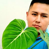danielitogarden2