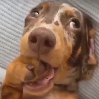 ANOTHA DAY ANOTHA SLAYY PERIODTT