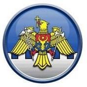 serviciul.vamal