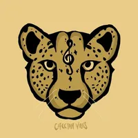 original sound - cheetahvibess