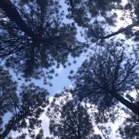 original sound - kinyanotes