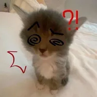 original sound - xaosaid