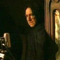 sevsnape394