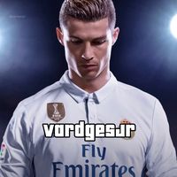 vardgesjr
