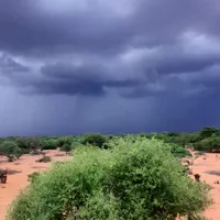 original sound - baariyow005