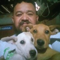 vasconcelosprotetordeani