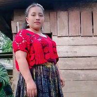 rosa.sacul5
