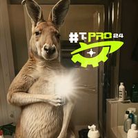 t.pro24