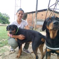 cindypaty