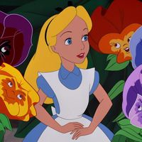 alice.dreamwear