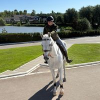 sofiishowjumper