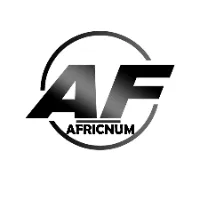 original sound - africnum