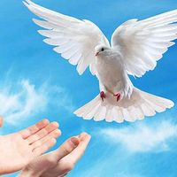 videosreligiosos2552