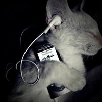 original sound
