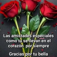 aracely.xol6