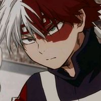 todoroki_shoto_argentino