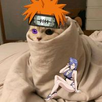 ray_otaku_zrs