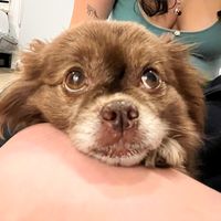 onedirectionperfumeuser