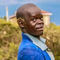 wamocha_classic