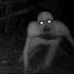 original sound - alienscrystals