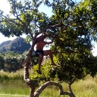 ondaman_22